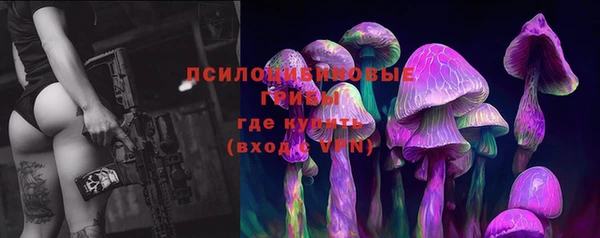 крисы Алексин