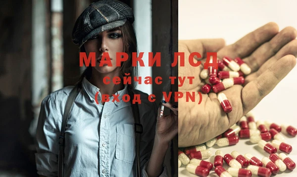 крисы Алексин