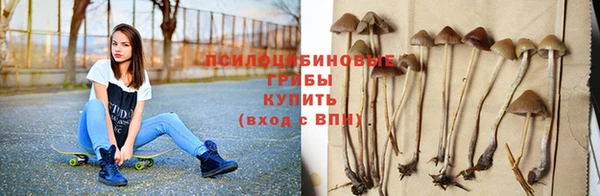 крисы Алексин