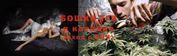 крисы Алексин