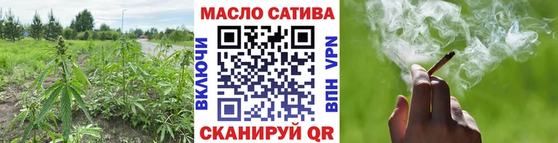 наркошоп  Дубна  Дистиллят ТГК THC oil 