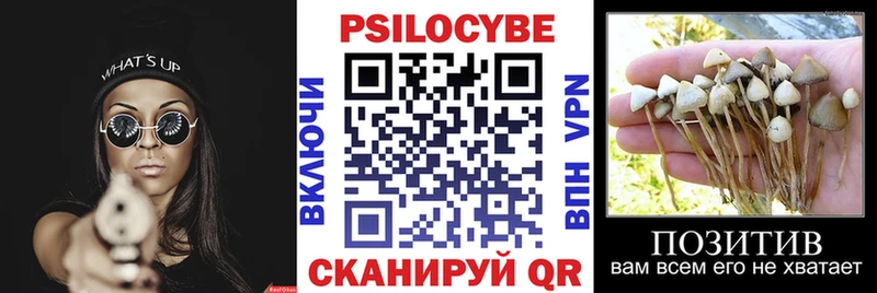 Псилоцибиновые грибы мухоморы  купить наркотик  Дубна 