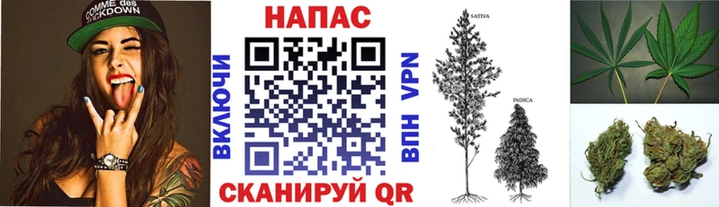KRAKEN сайт  Дубна  МАРИХУАНА White Widow  цена  